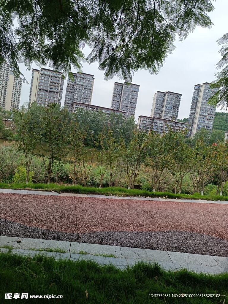 城市公园中的自然景致