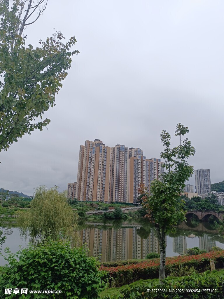 湖畔高楼与绿植景观