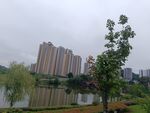 湖畔高楼与绿植景观