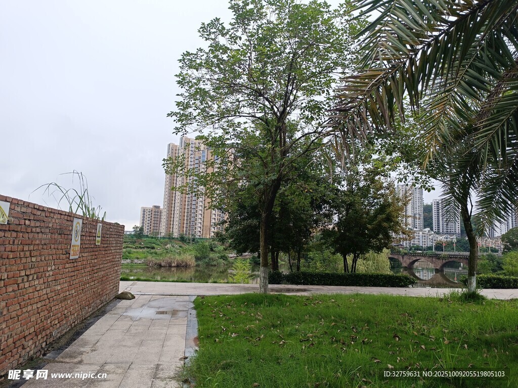 城市中宁静的绿植小道