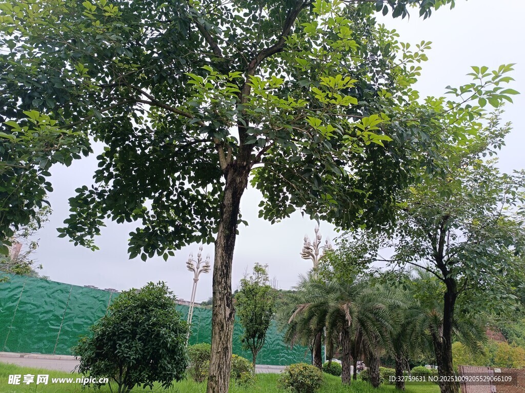 户外绿树环绕的自然景致