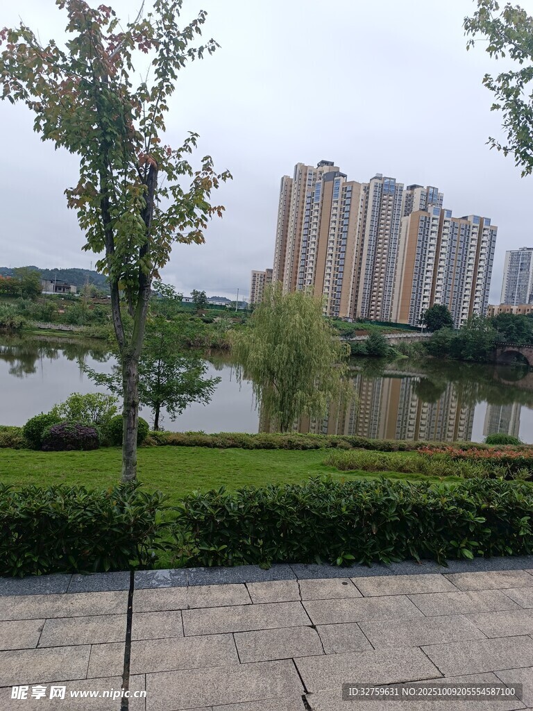 湖畔城市景观与绿植