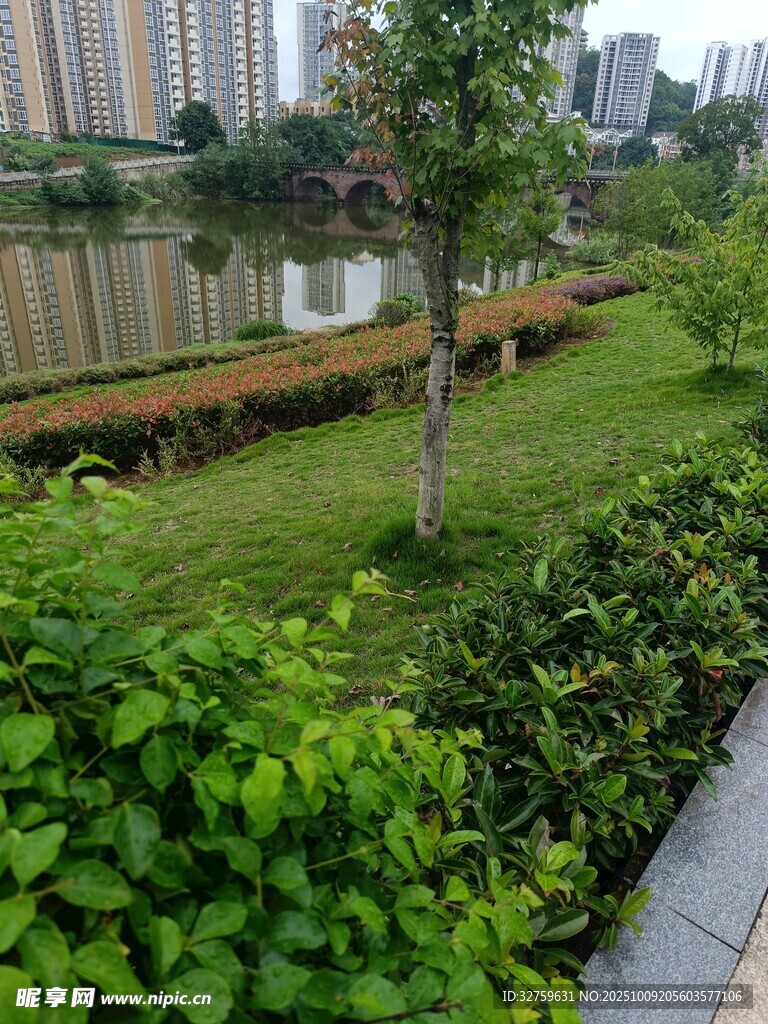 城市河畔绿意盎然的景致