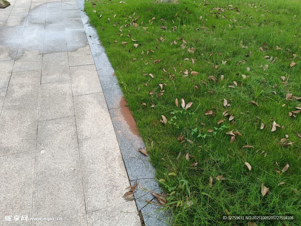 路边草地与水泥路面