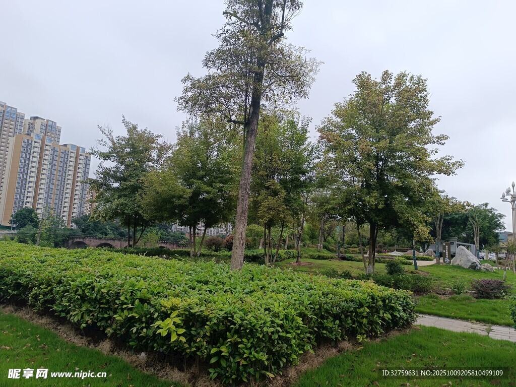 城市公园绿植景观
