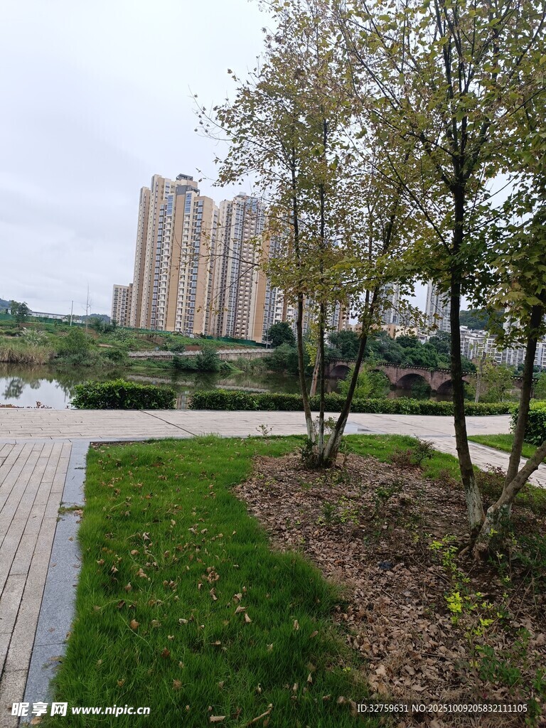 城市中的绿地与高楼景观