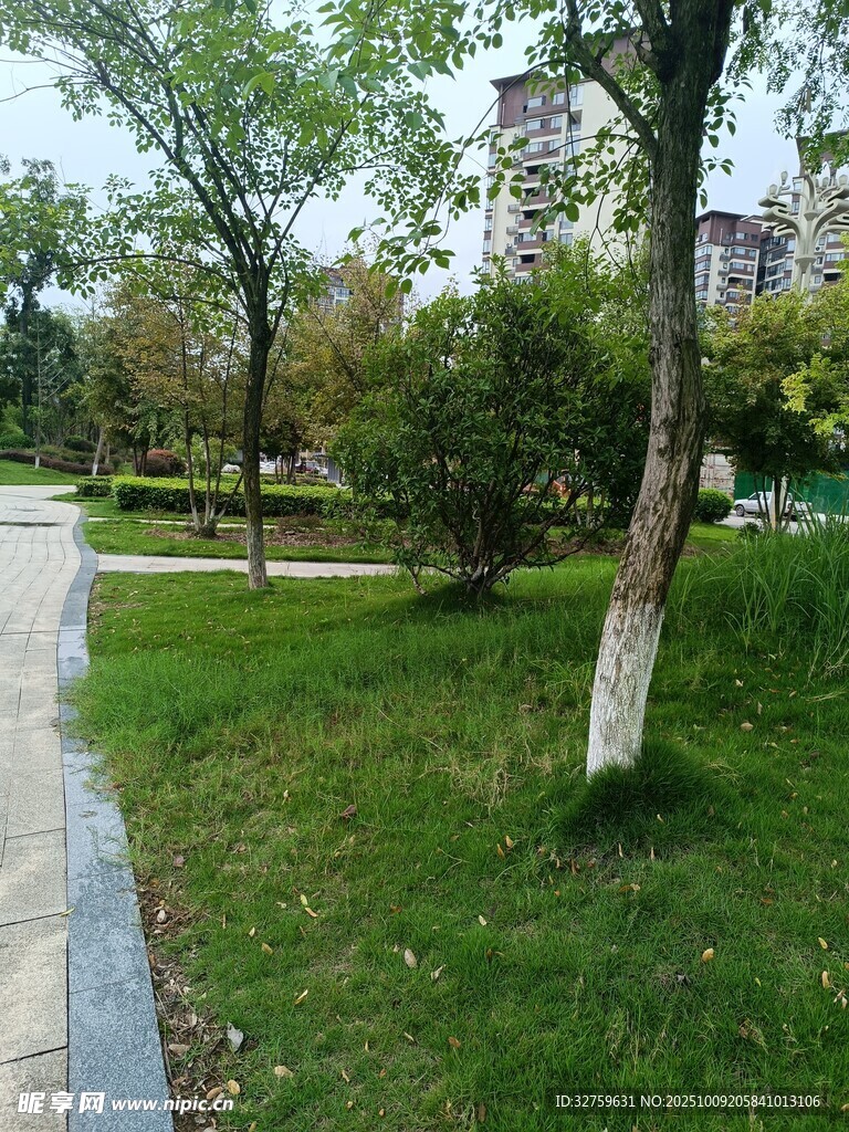 城市公园绿意盎然的小径