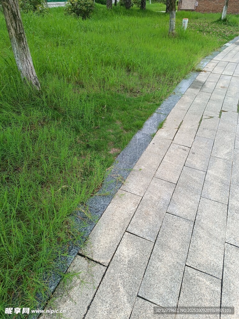 草地旁的砖石步道