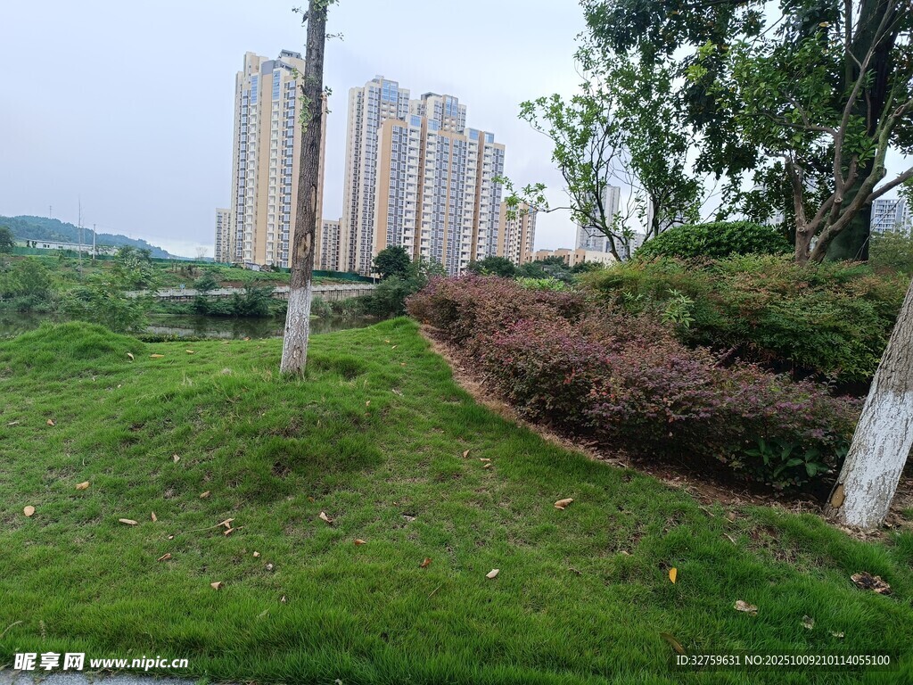 城市绿地旁的高楼景观