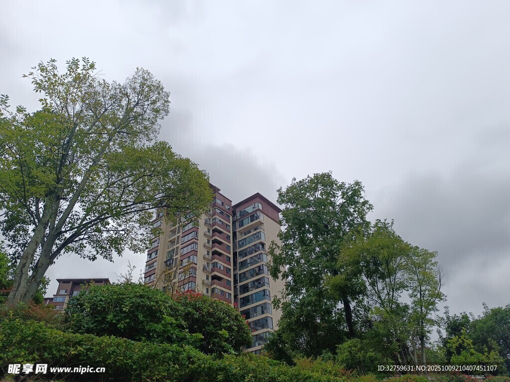 绿树环绕中的高层住宅