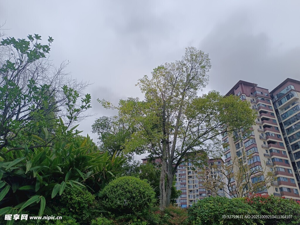 绿树环绕的高层住宅区