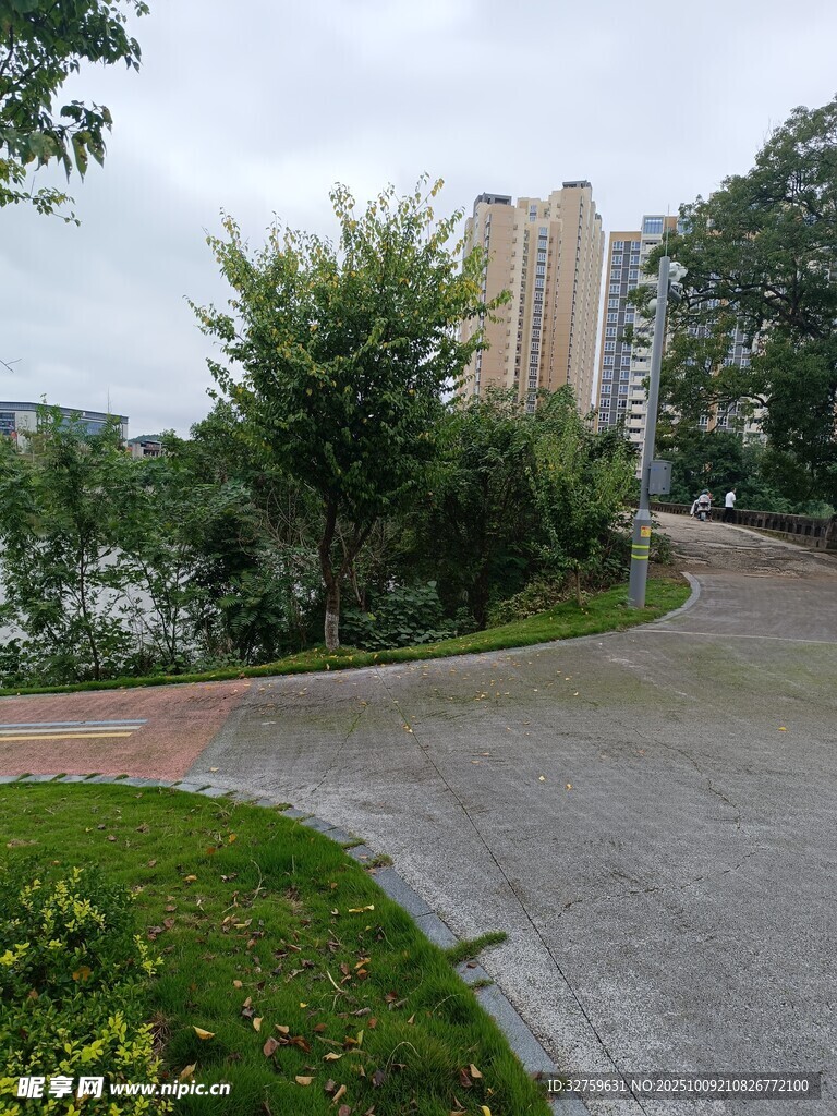 湖边道路旁的绿植与建筑