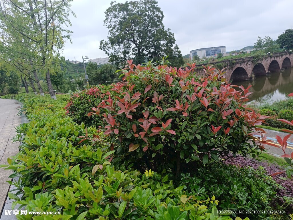 河畔繁花与古桥景致