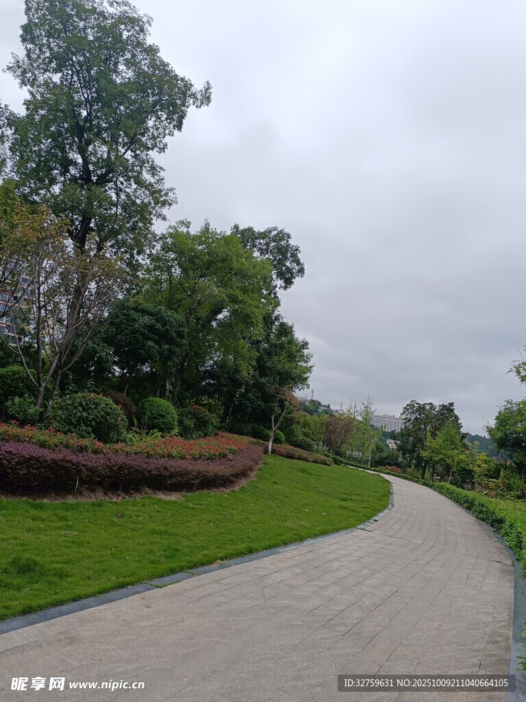 蜿蜒小路旁的绿意景致