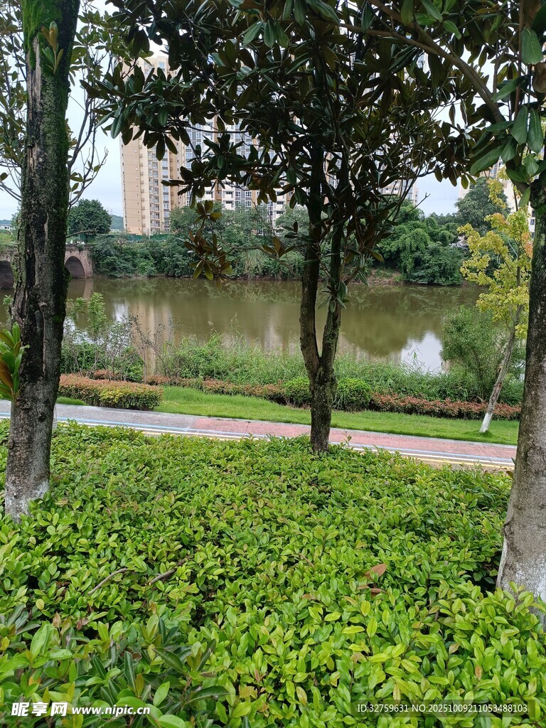 湖畔绿植环绕的宁静小径