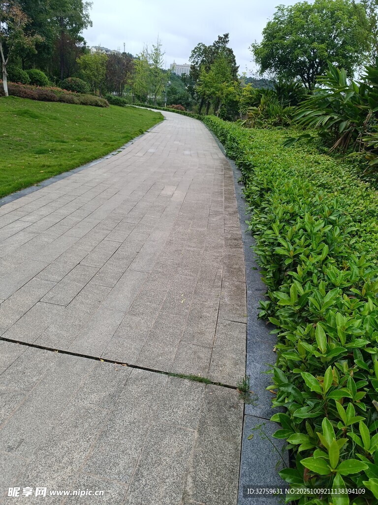 林间小径 