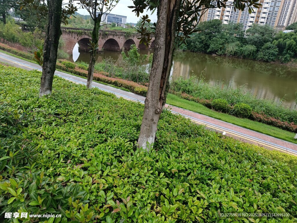 河畔绿植环绕的宁静小路