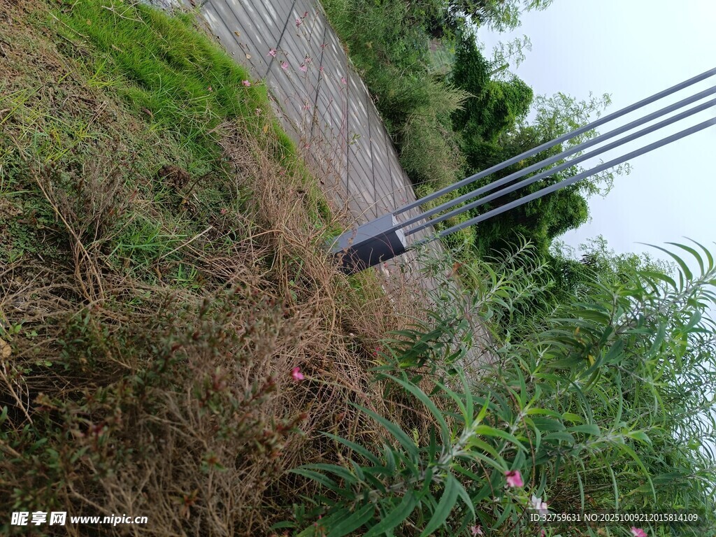 路边草丛中的金属物件