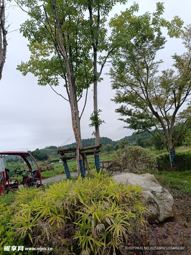 户外绿意盎然的自然景致