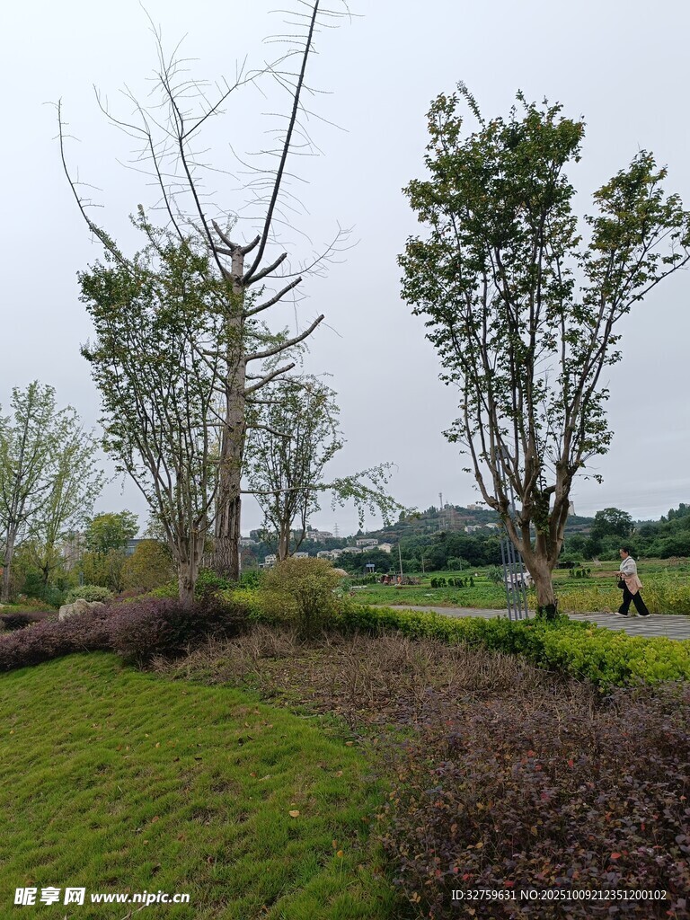 郊外绿意盎然的自然景致