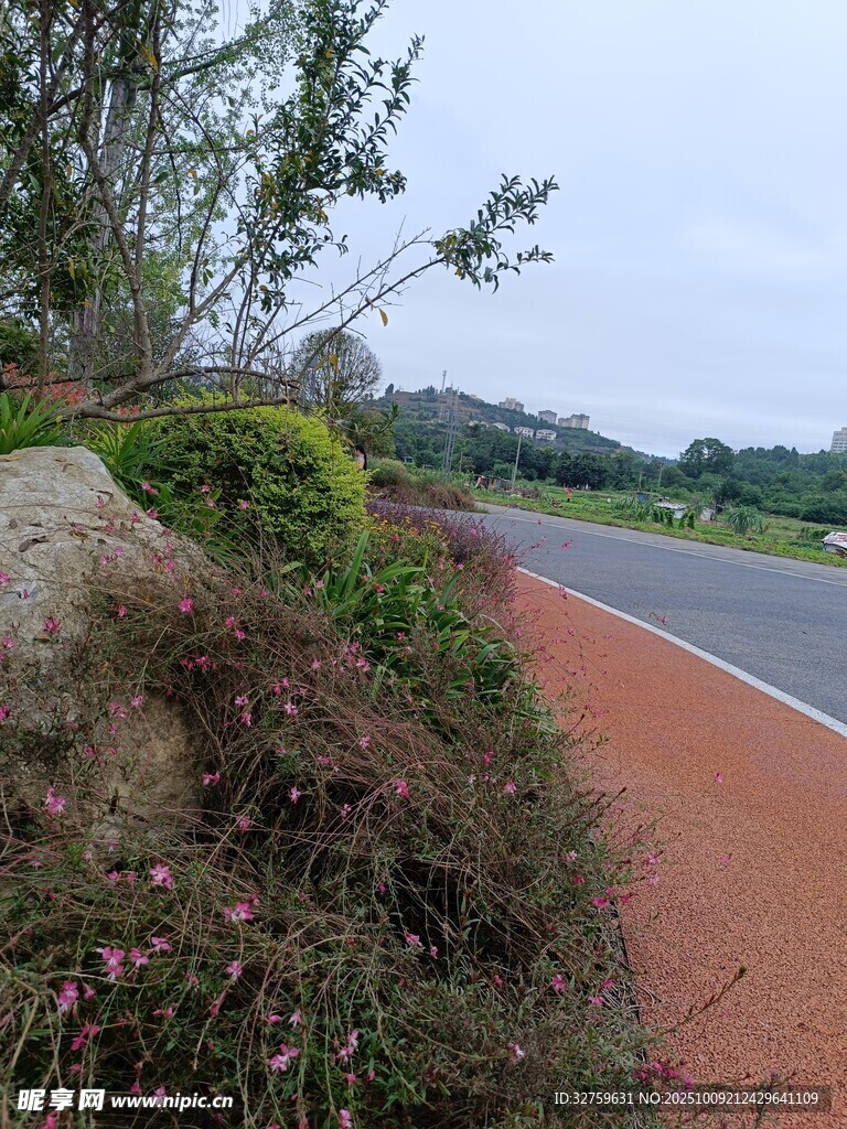 路边绿植与红色步道景观
