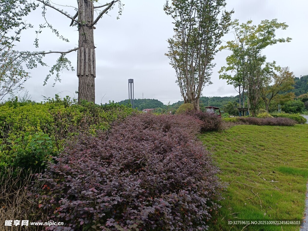 郊外绿植景观