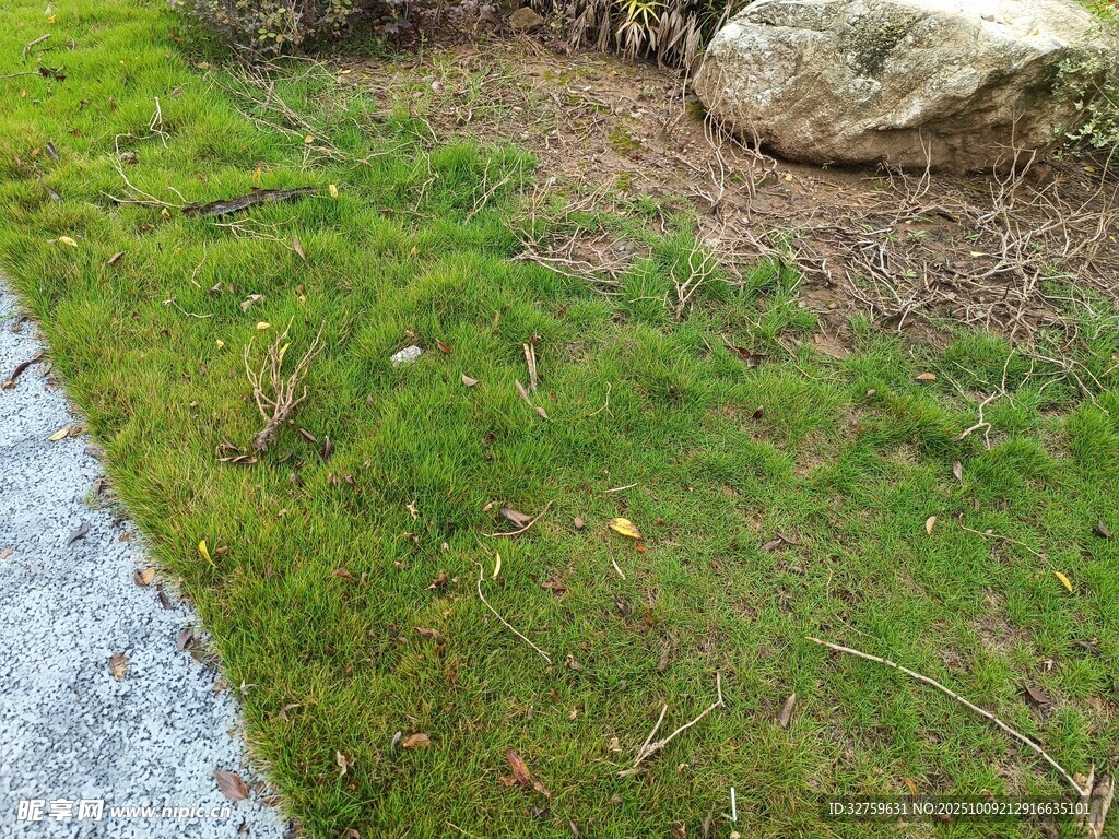 路边翠绿草地与石块景观