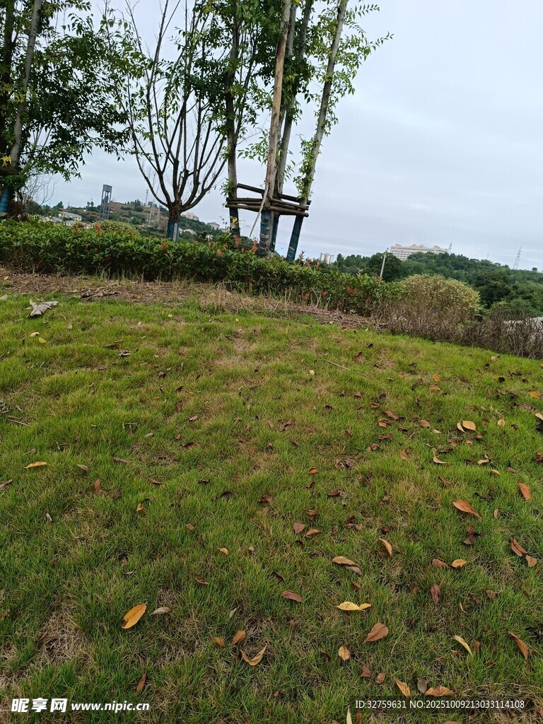 户外草地景观
