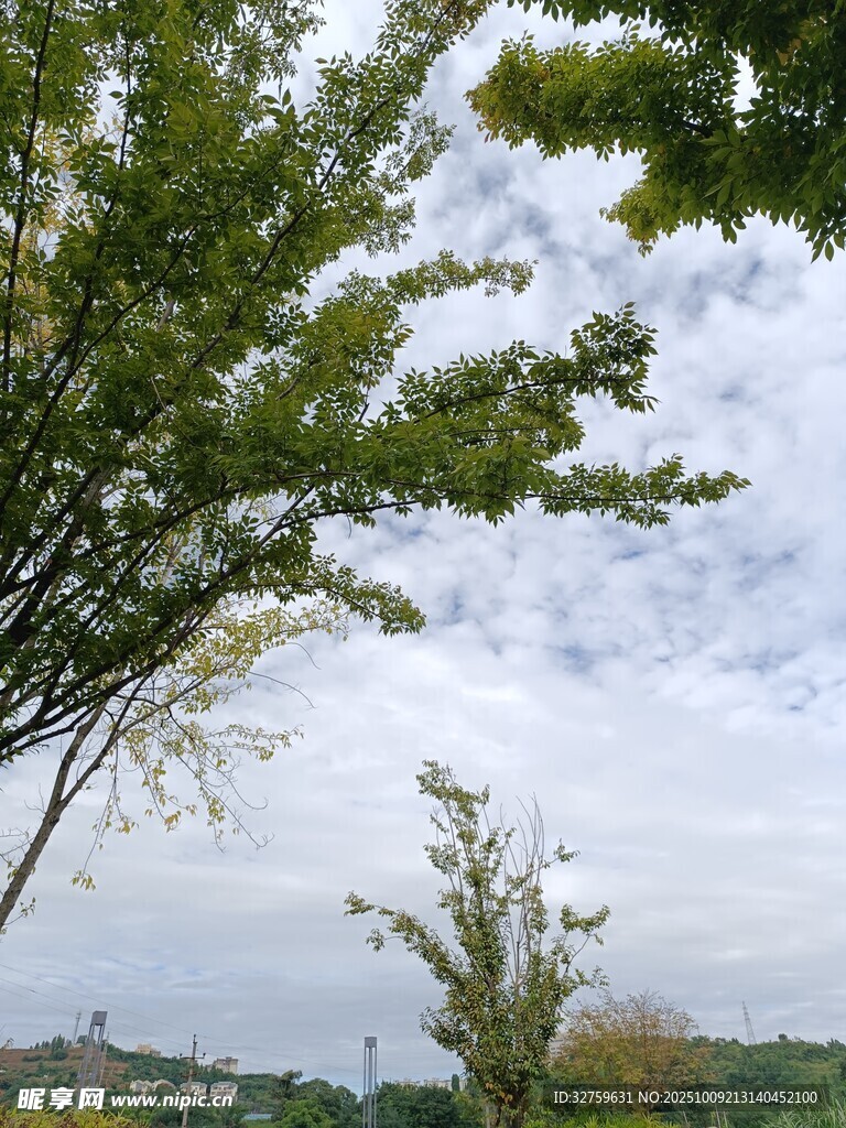 绿树蓝天间的开阔景致