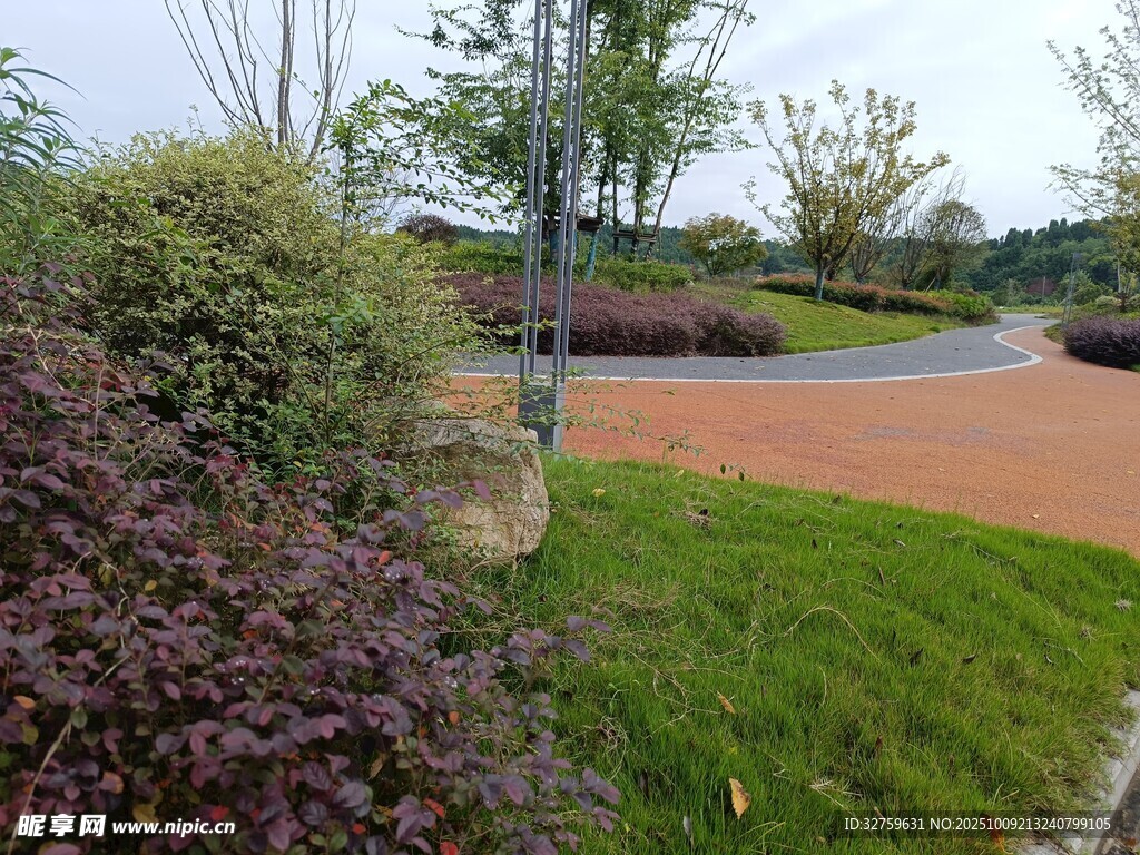 园林景观中的绿植与步道