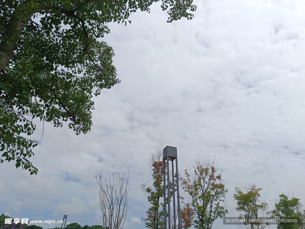 户外高塔旁的绿树与天空