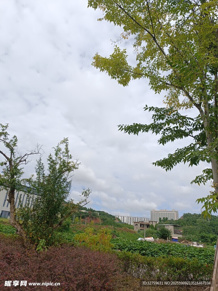 郊外绿植景观