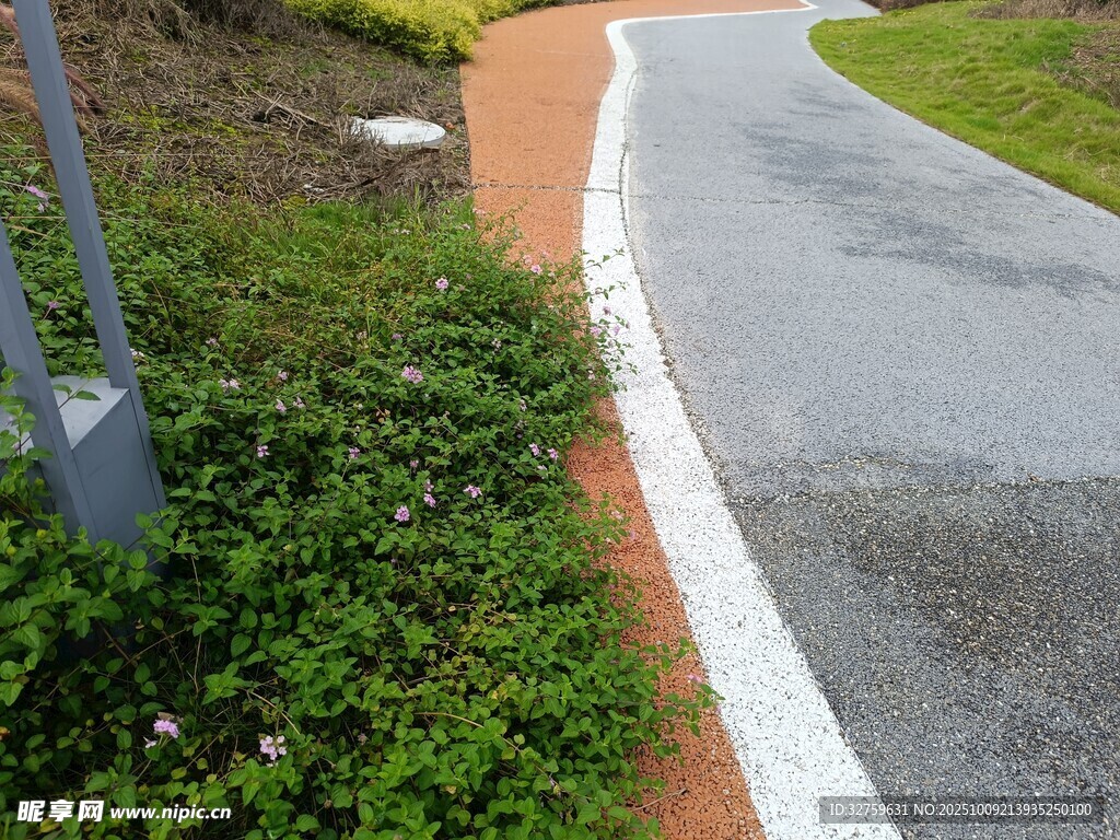 路边绿植与灰色步道景观