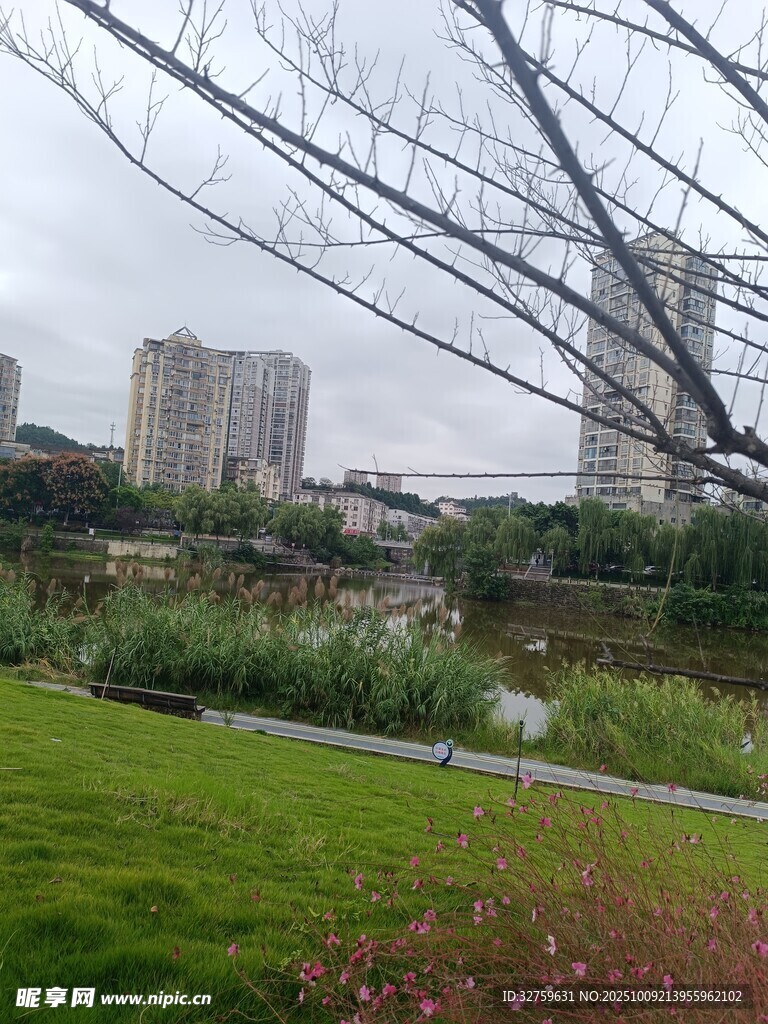 城市中的绿地景观