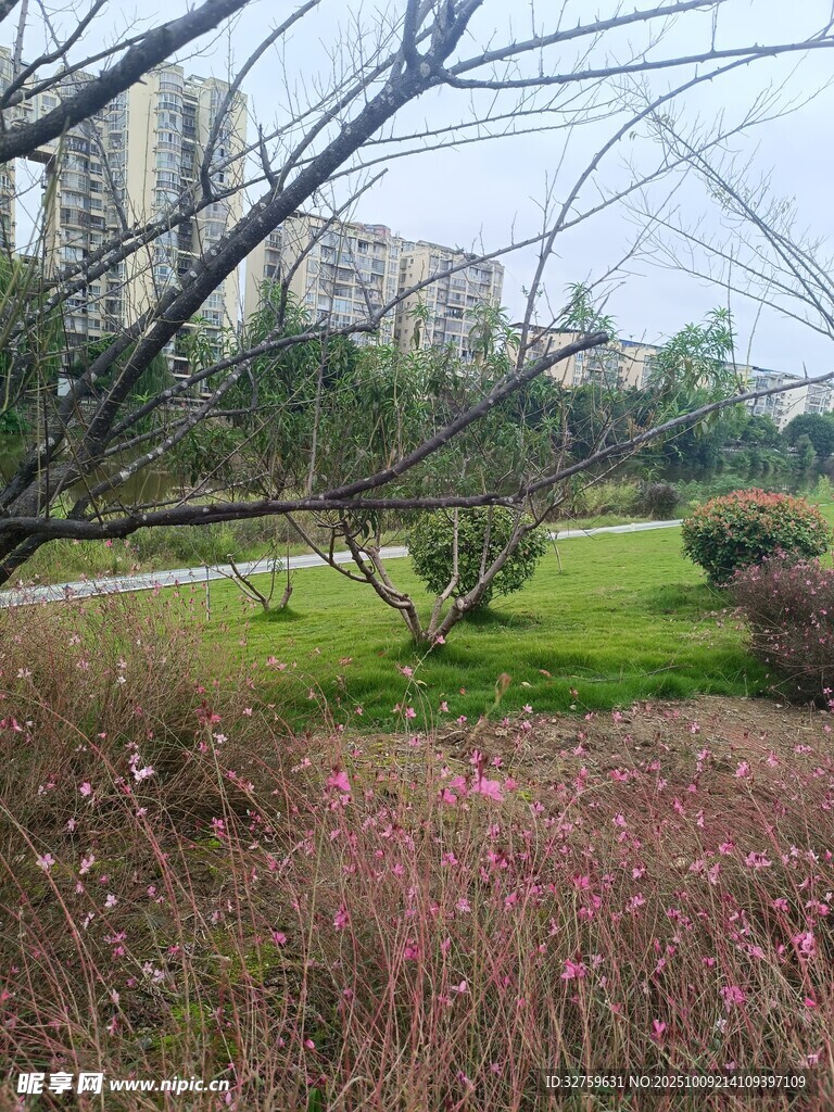 城市公园春色景观