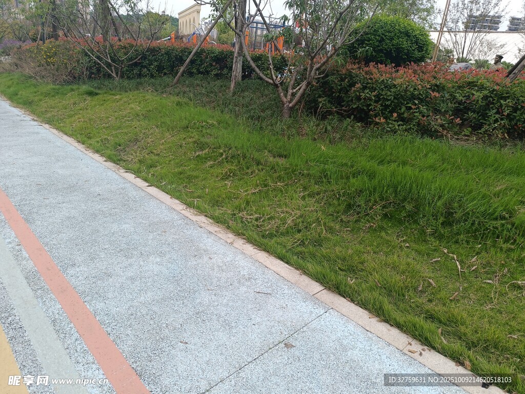 路边草地与彩色步道