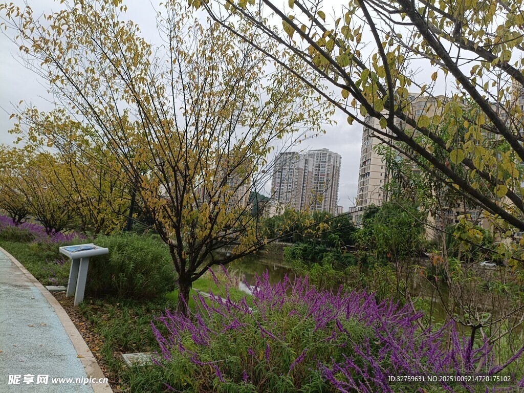 春日小径旁的多彩花草景观