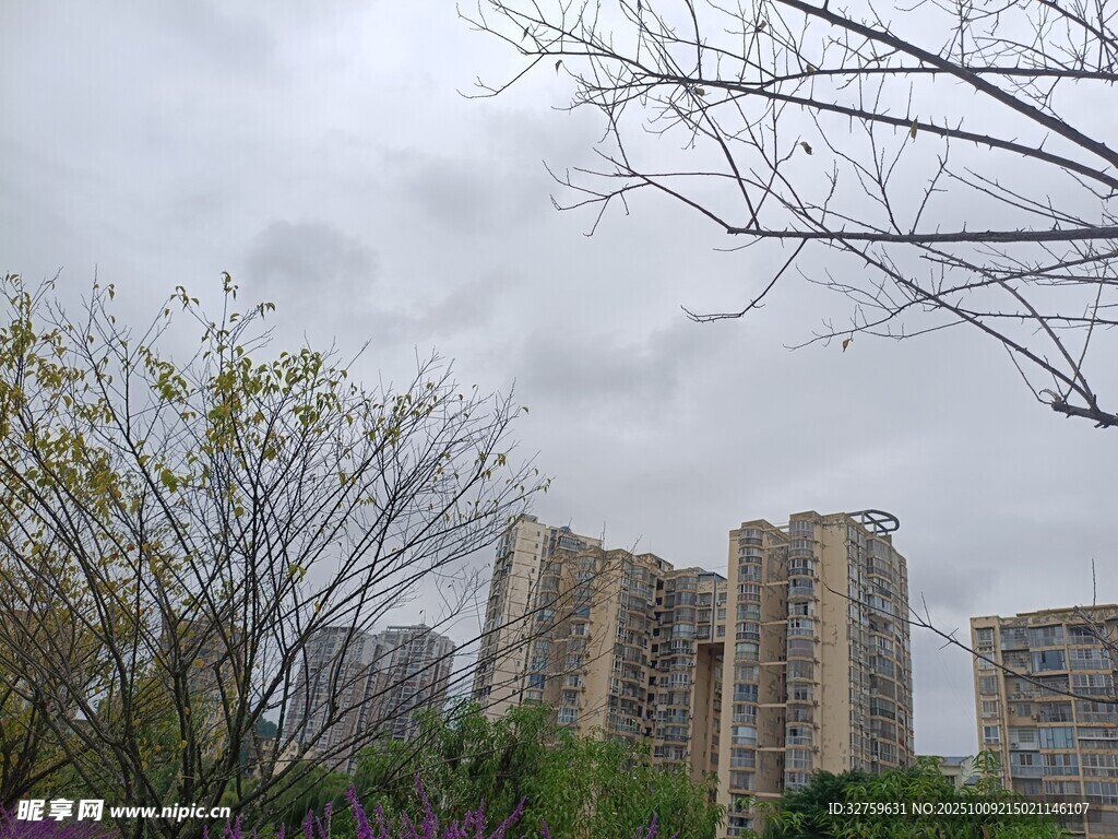 城市中林立的高层住宅