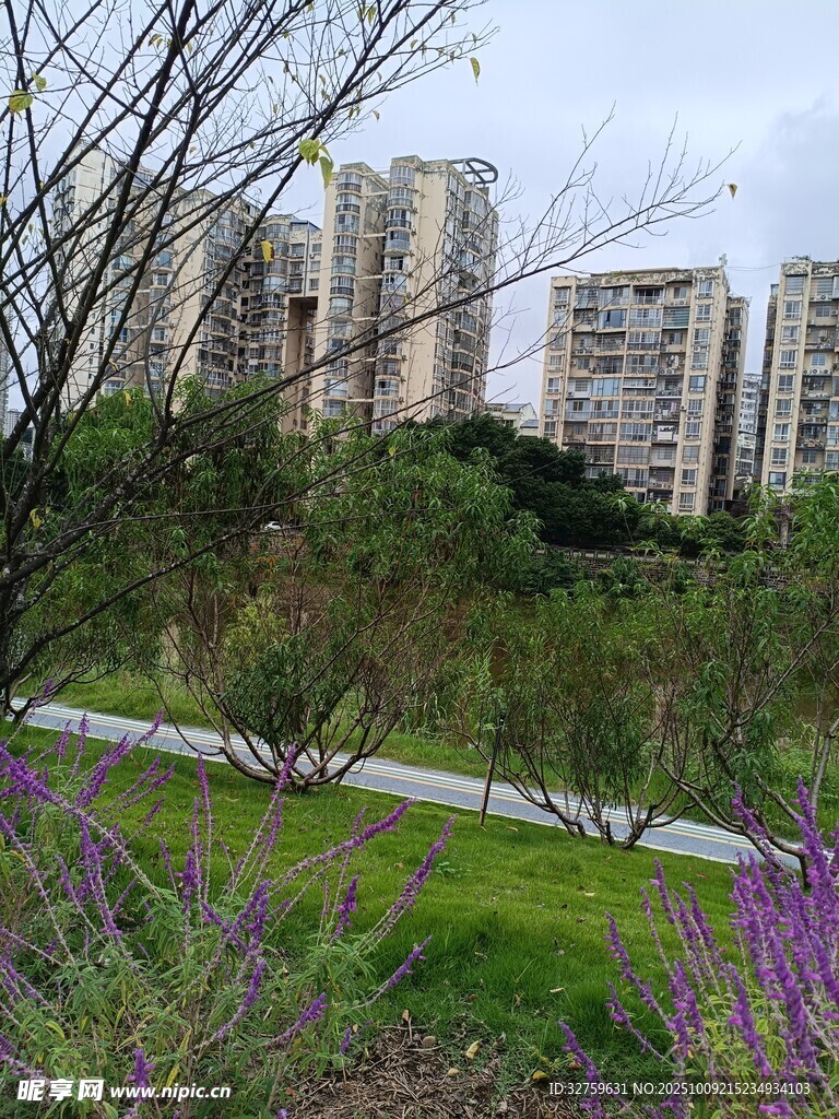 城市中繁花绿树旁的高楼