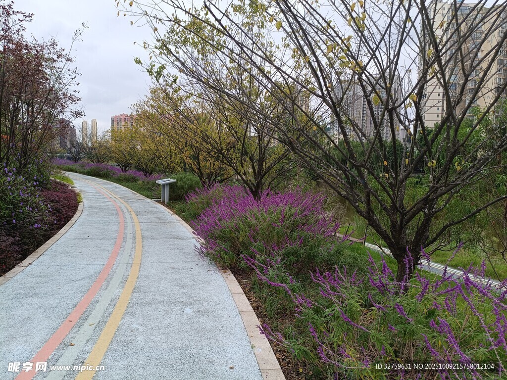 城市林间彩色步道景观