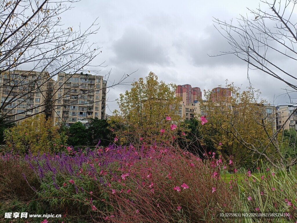 城市中的多彩花卉景观
