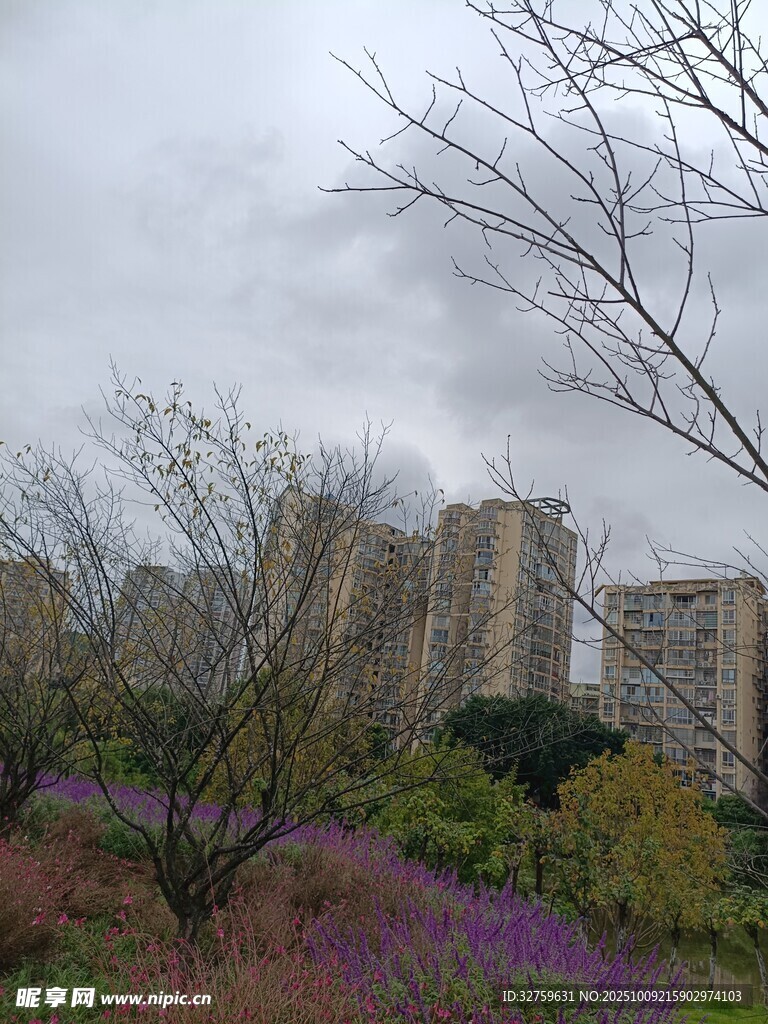 城市中繁花与建筑相映景