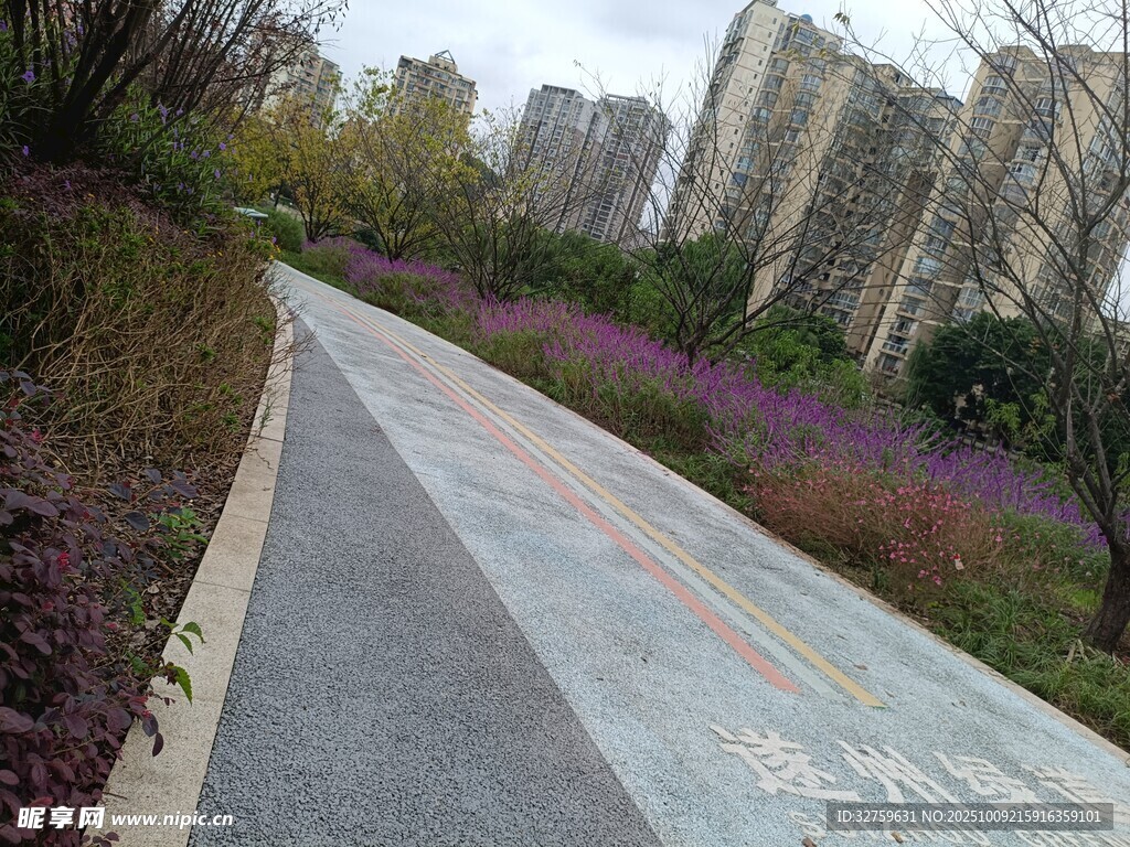 城市中的多彩林荫步道