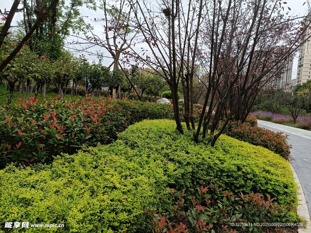 城市街边多彩绿植景观