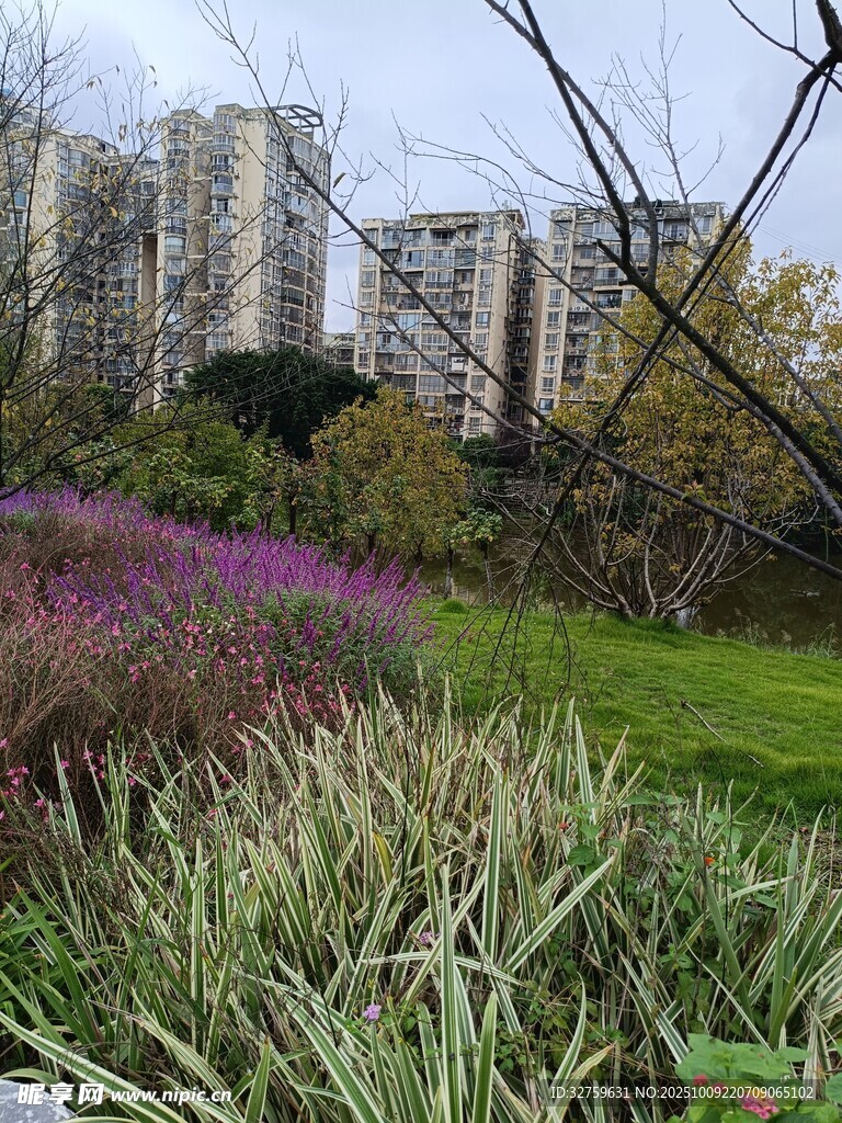 城市中的花草与林立高楼