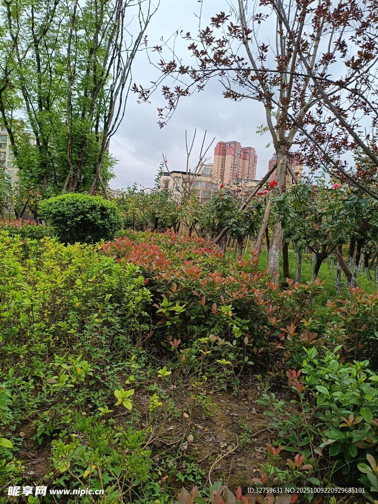 春日绿植环绕的户外景致