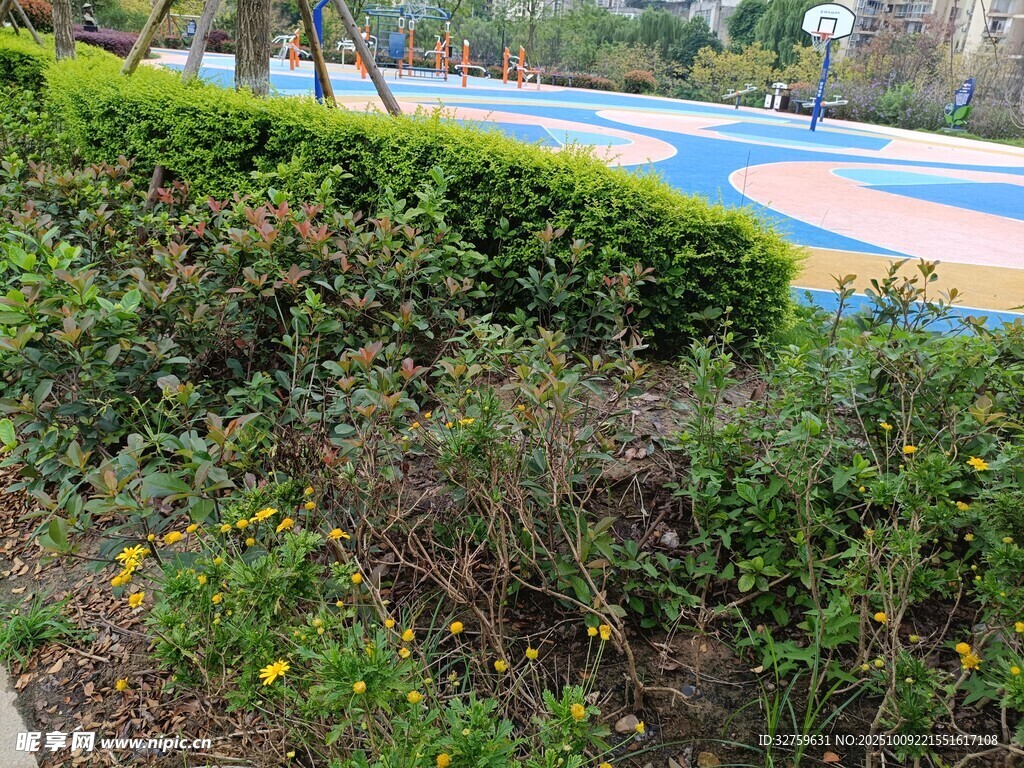 公园绿植景观一角