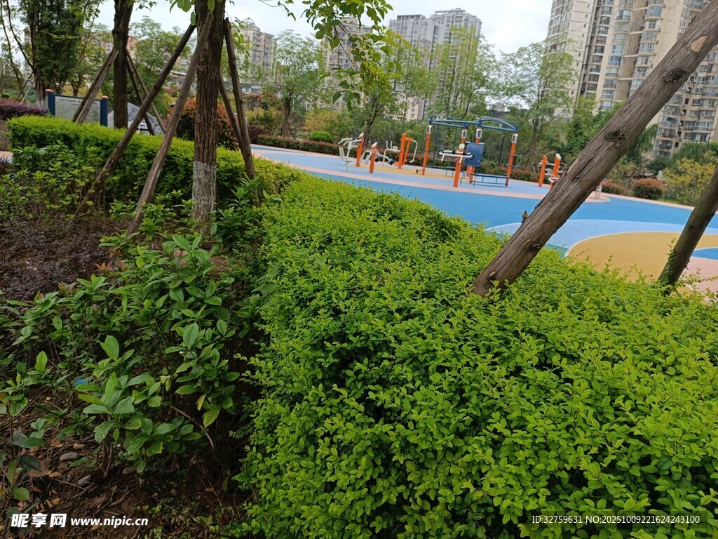 城市中的绿植与休闲场地