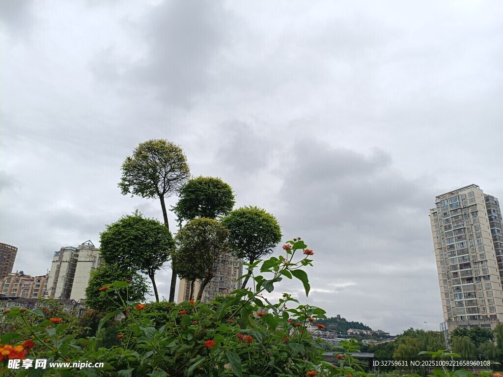 城市中造型独特的绿植景观