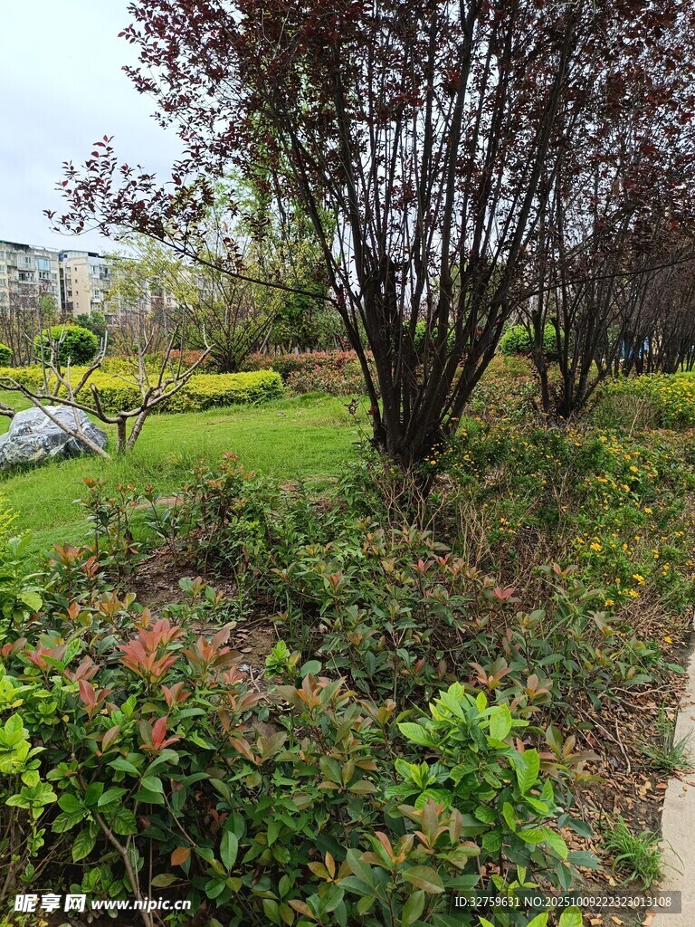 园林绿植景观一角